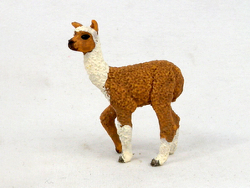 Little Alpaca