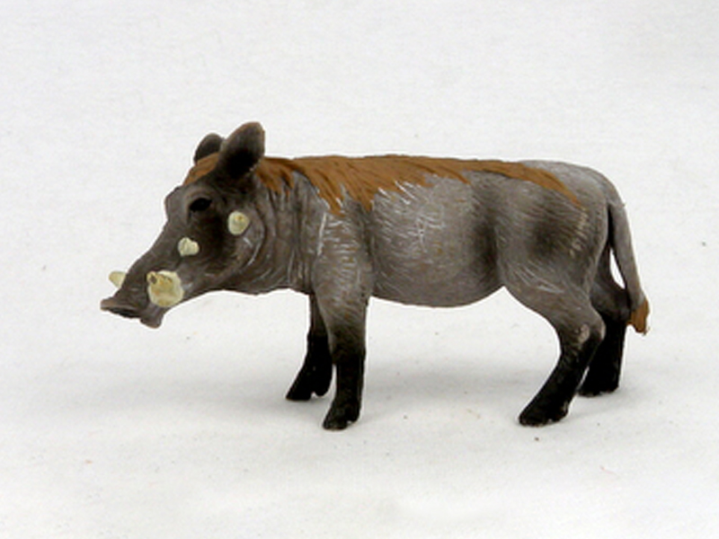 Famale Warthog