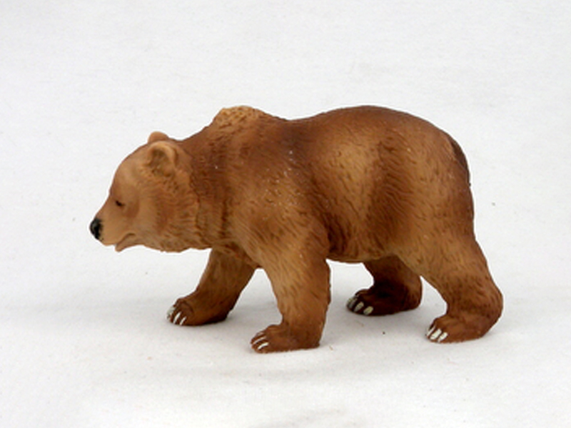 Brown Bear