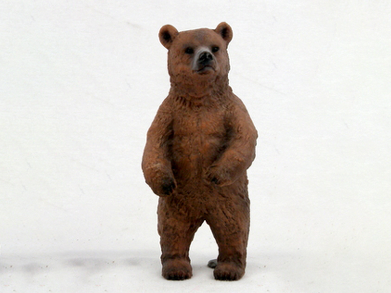 Brown Bear Standing