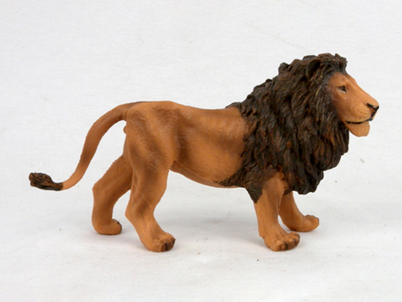 Red Male Lion