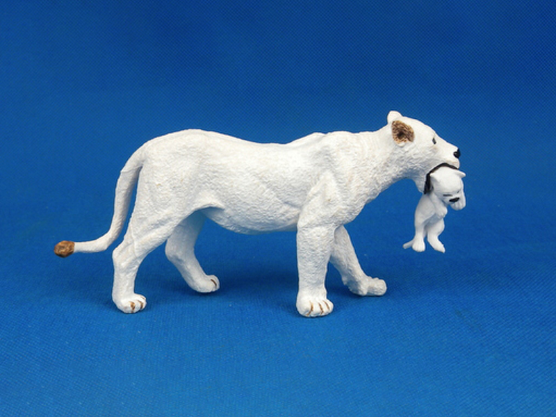 White Lioness With Cubs