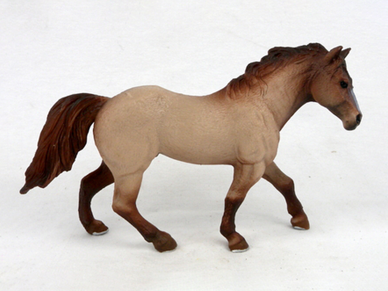 Kuate Horse