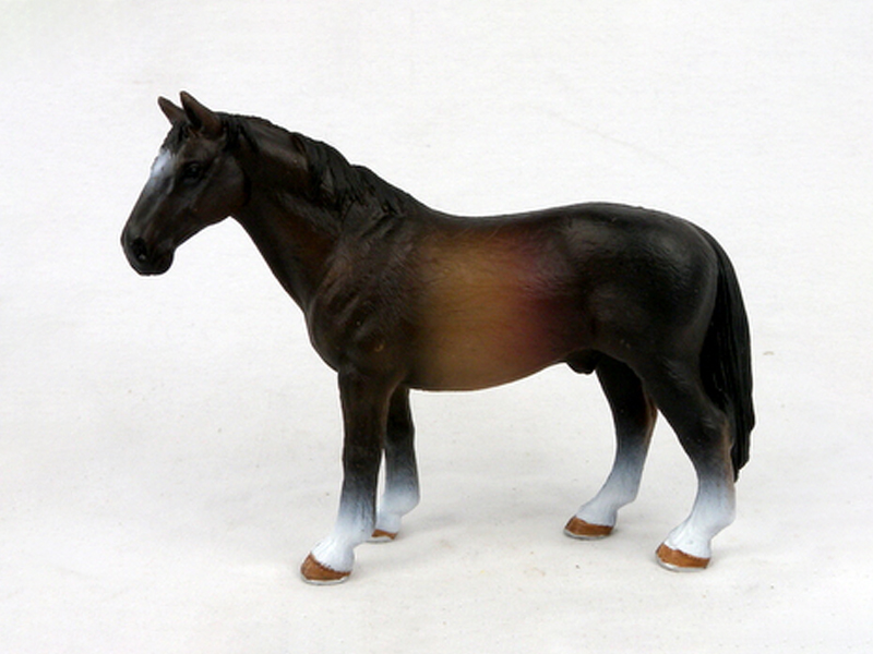 Hanover Stallion