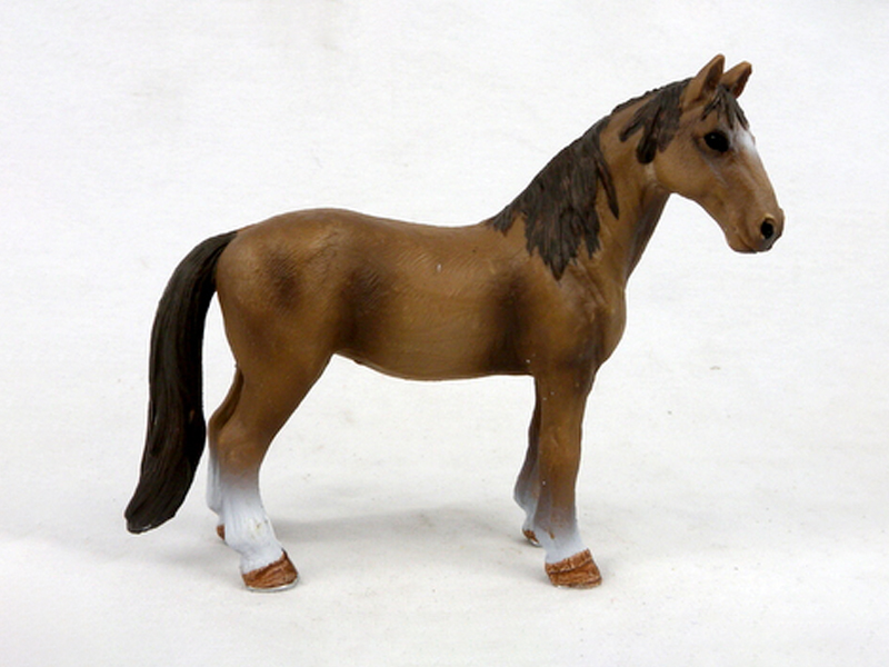 Tennessee Walker Mare