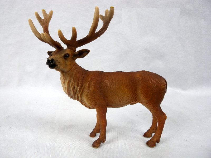 Male Red Deer