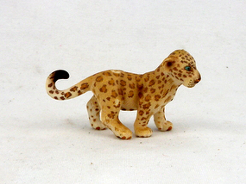 Puma Cubs