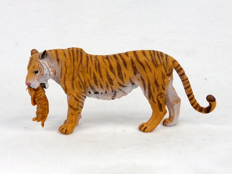 Red Tigers Steal Their Young
