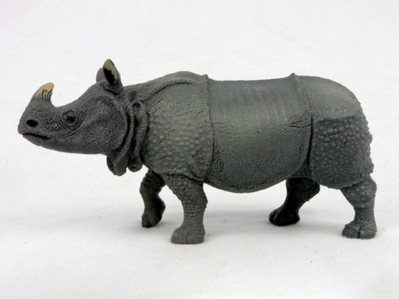 Indian Rhinoceros