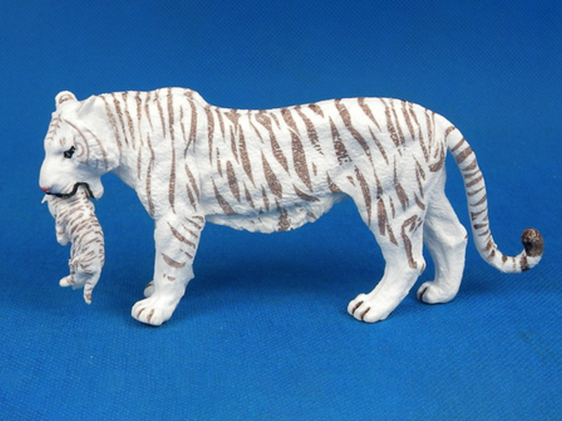 Big White Tigers Steal Their Young