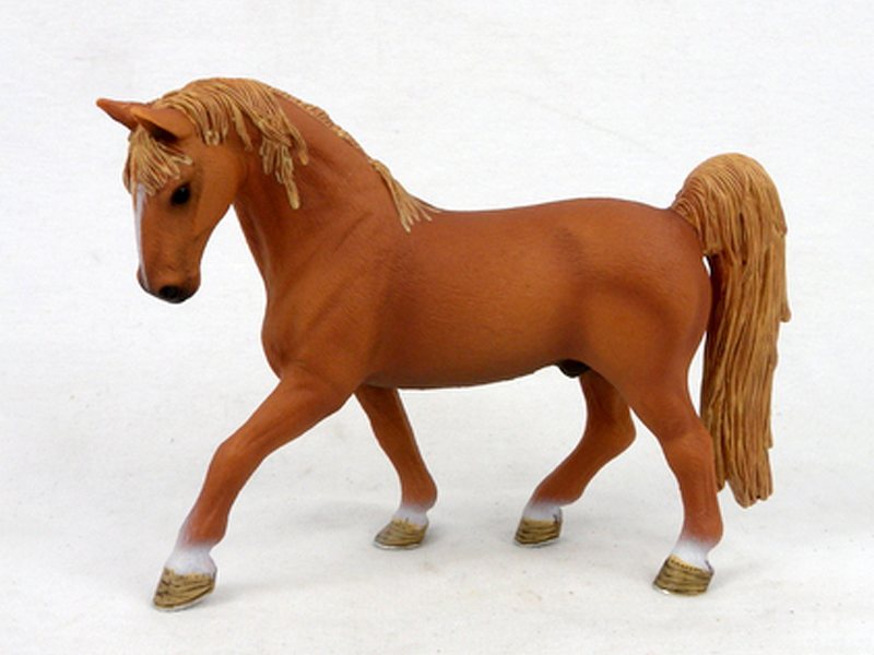Tennessee Walker Mare