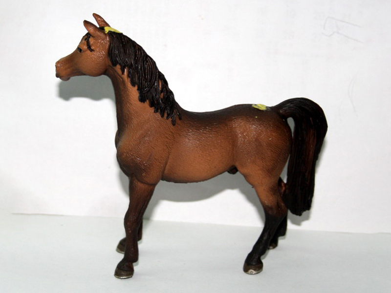 Hanover Stallion