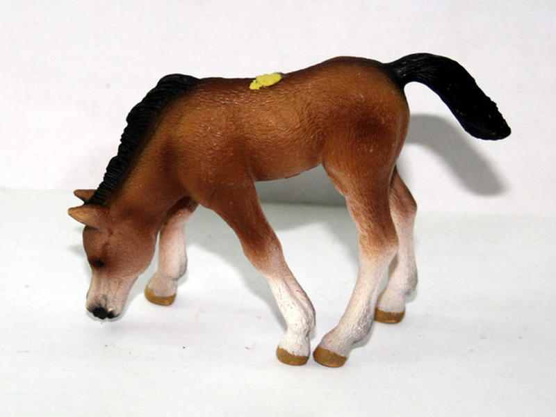 Arabian Grass Eating Pony