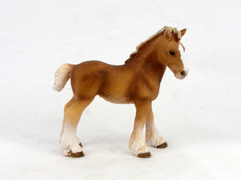 Little Clydesdale