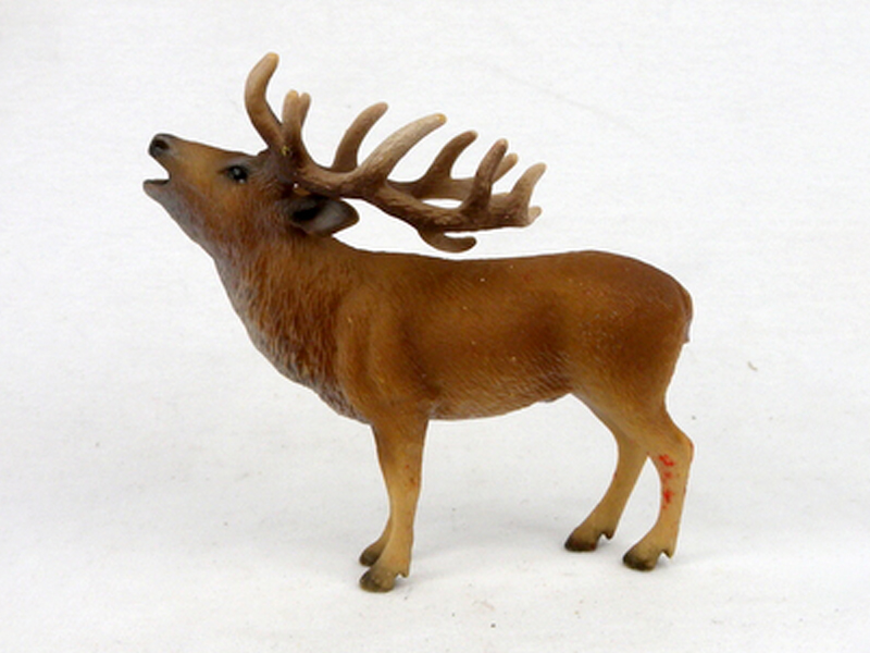 Male Red Deer