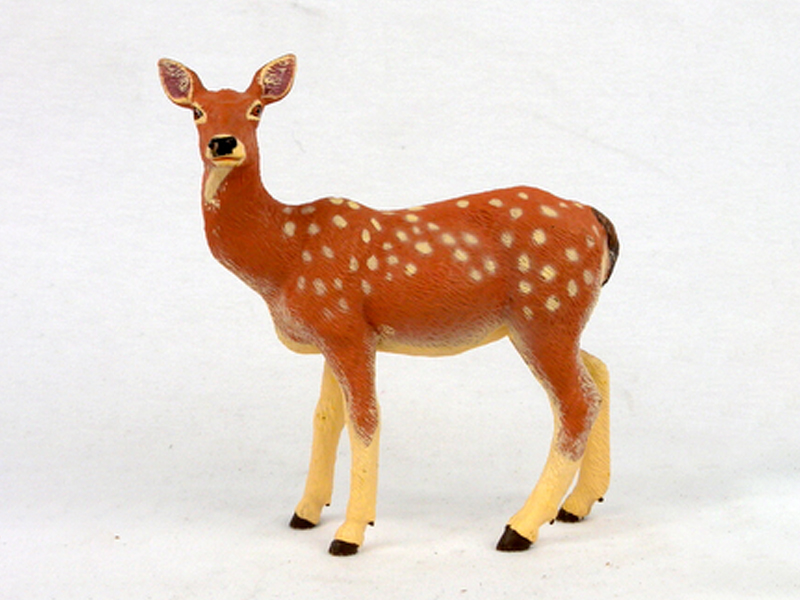 Female Sika Deer