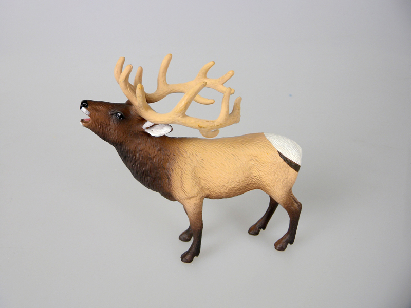 Newfoundland Male Reindeer