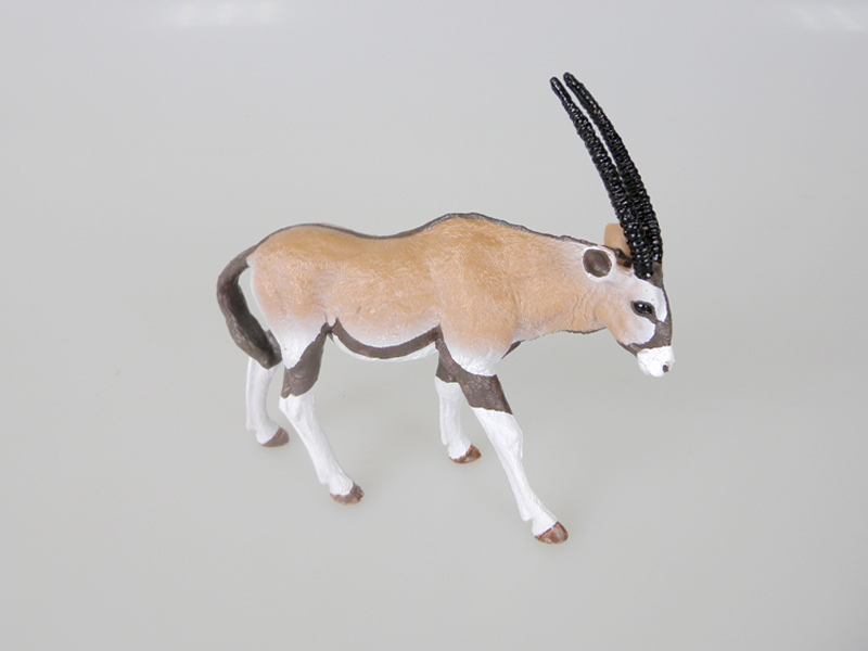 African Gazelle
