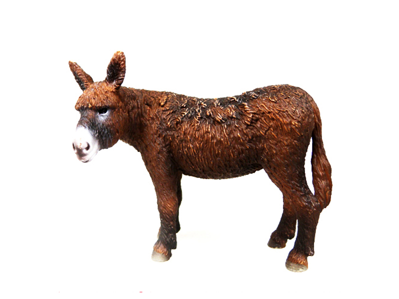 Poitu Donkey
