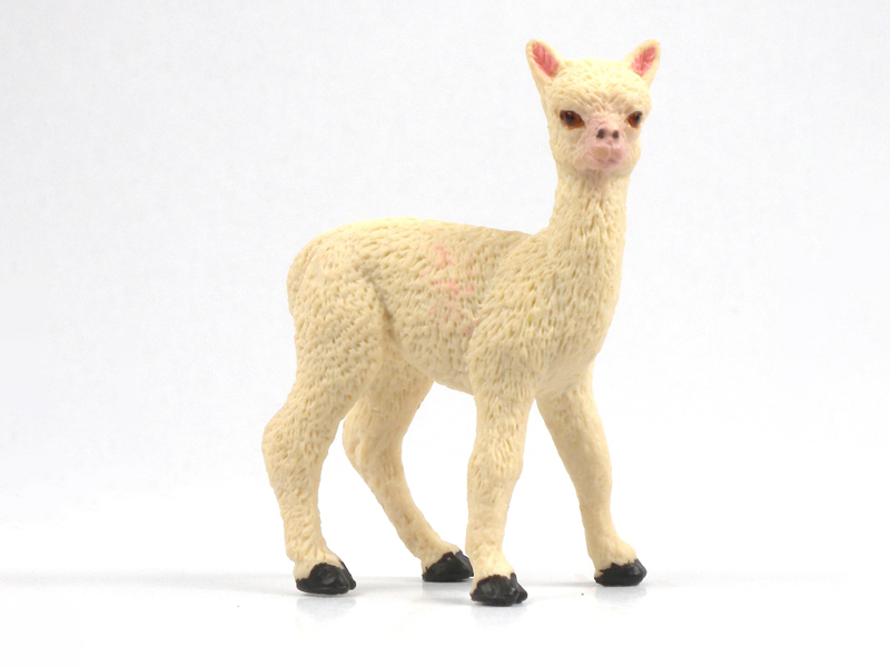 Vicuna