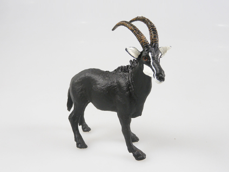 Black Antelope