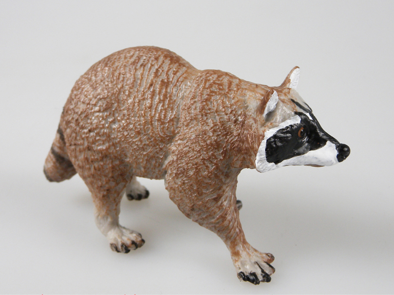 Raccoon