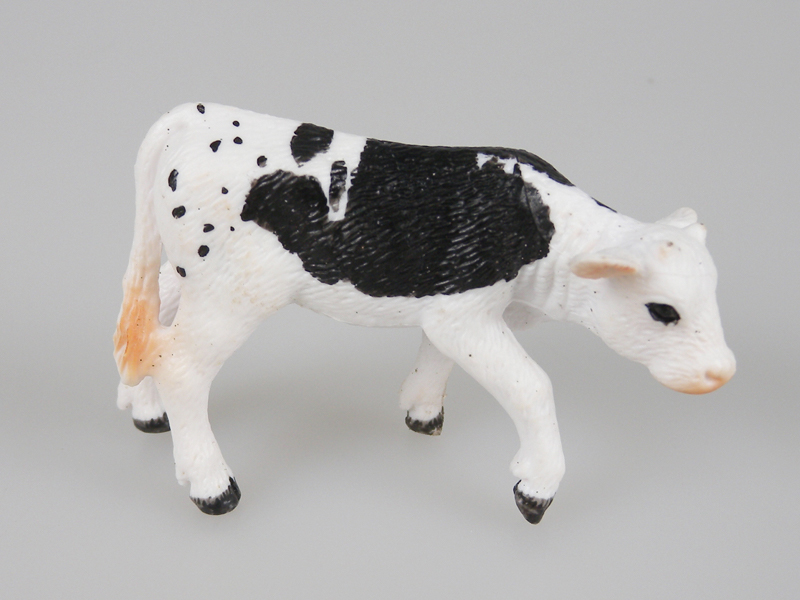 Walking Black Spotted Calf