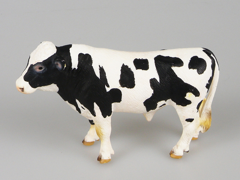 Holstein Bull