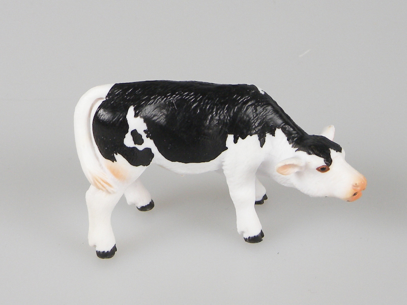 Milk Fed Black Spotted Calf