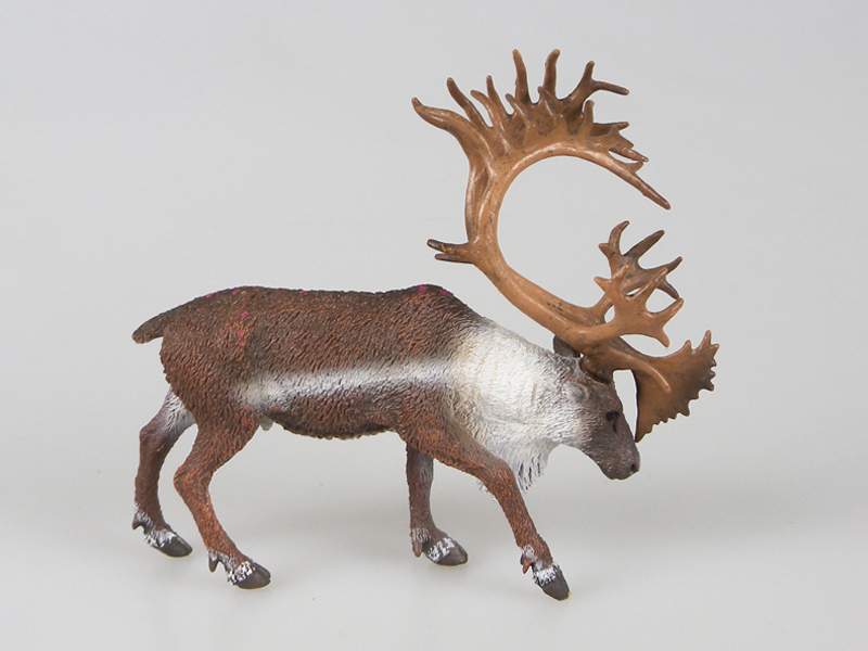 Reindeer