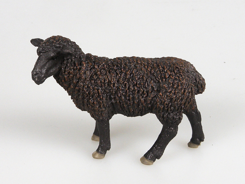 Black Sheep