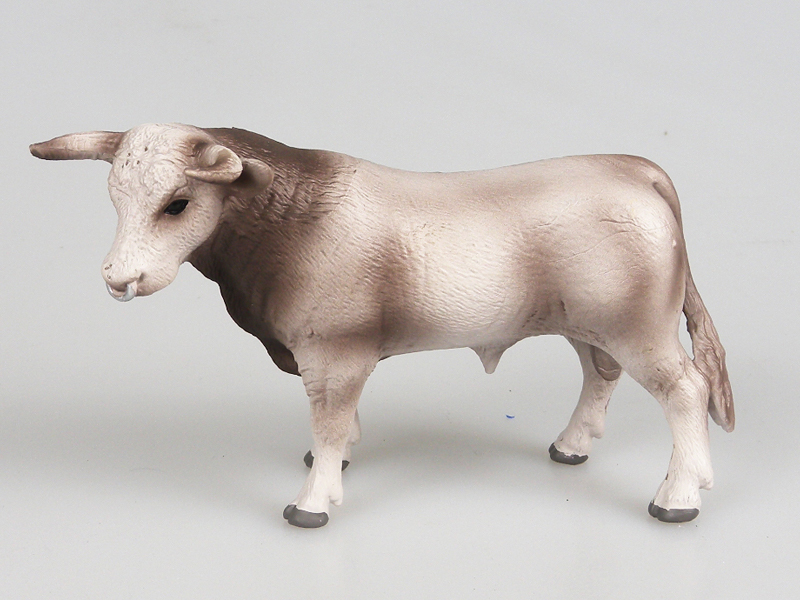 Swiss Brown Cattle With Horns