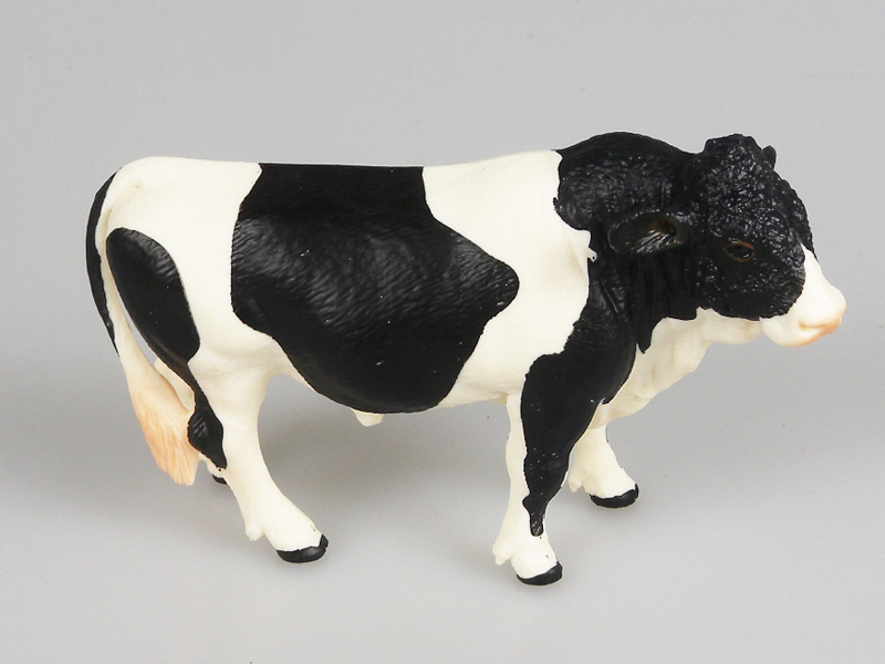 Simmental Black Bull
