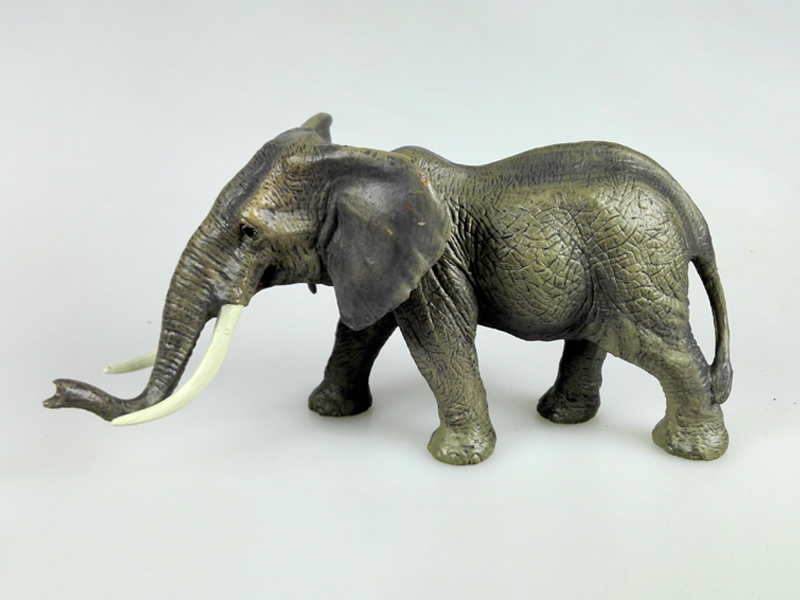 Male African Elephant