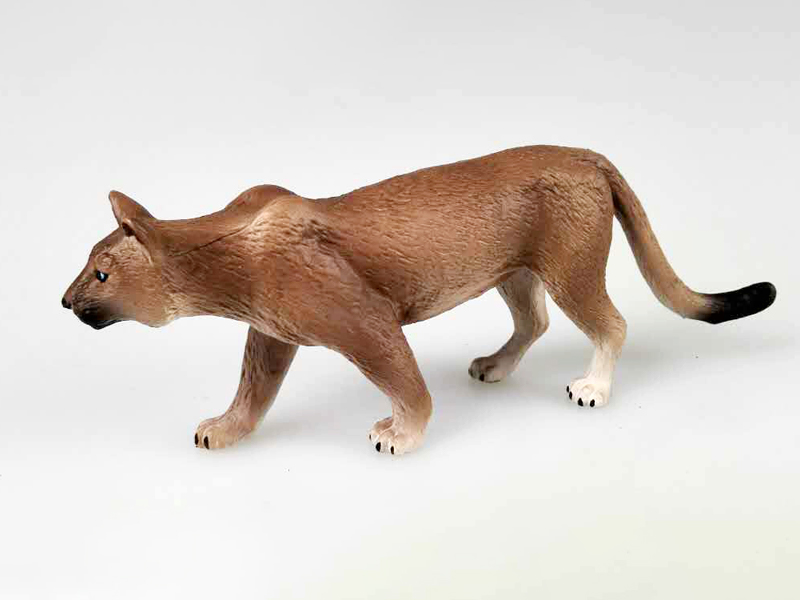 Mountain Lion