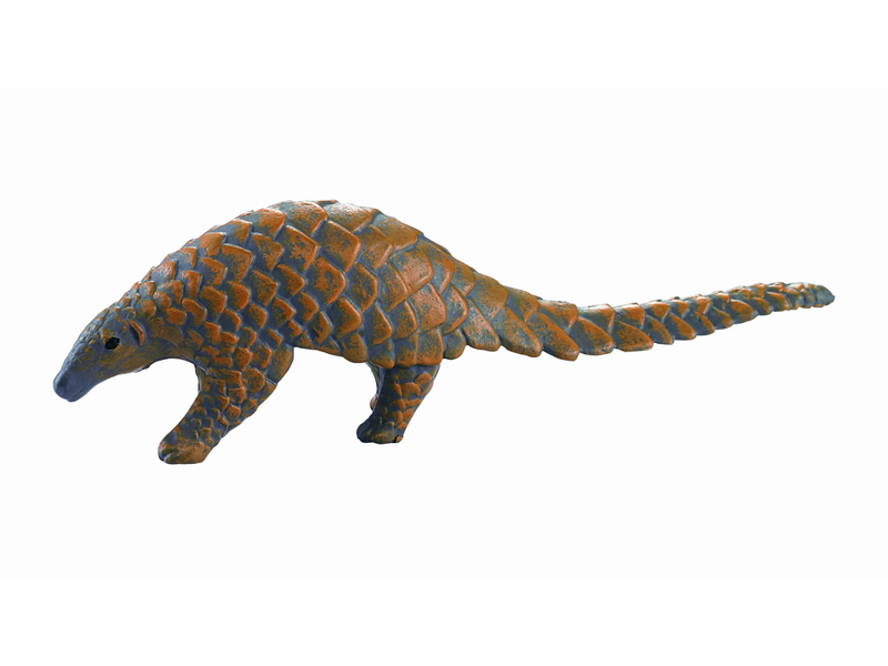 Pangolin