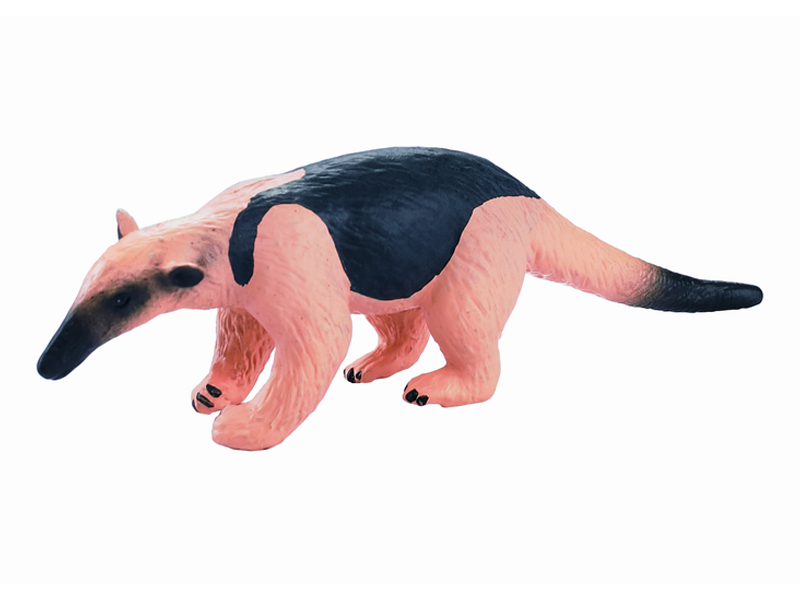Anteater