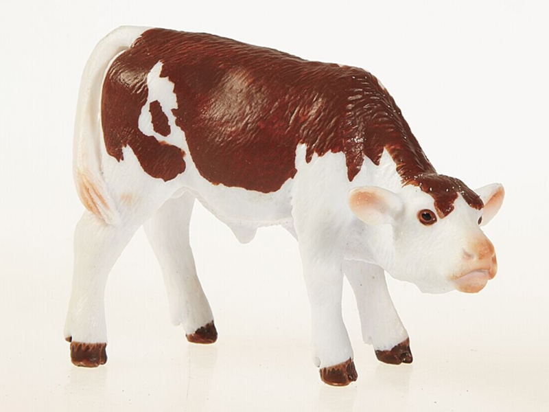 Milk Fed Yellow Spotted Dairy Cows
