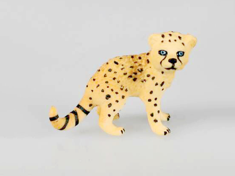 Cheetah Cub