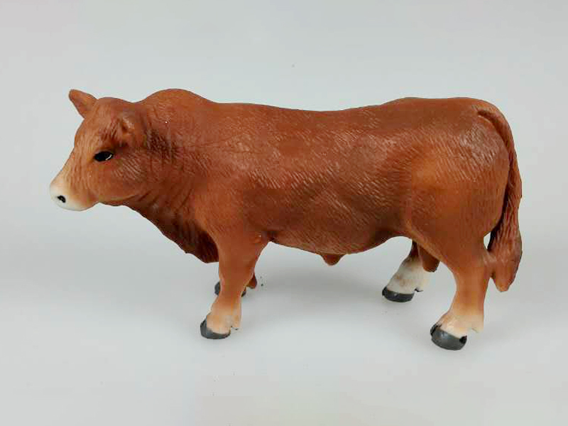 Cattle