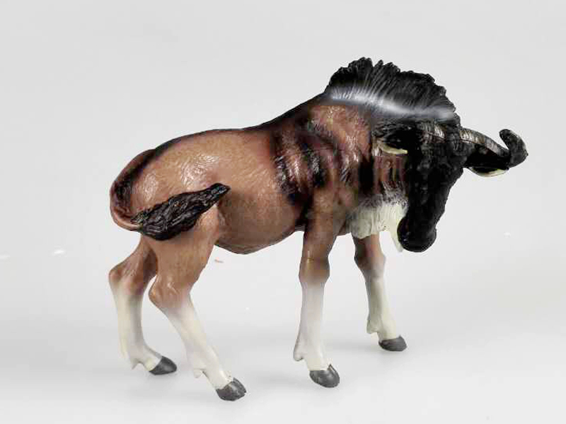 Wildebeest