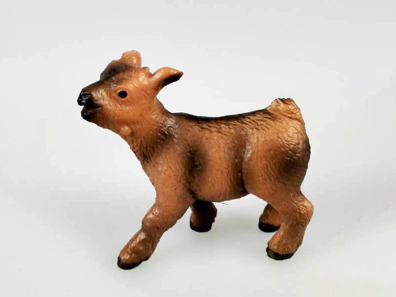 Little Goat