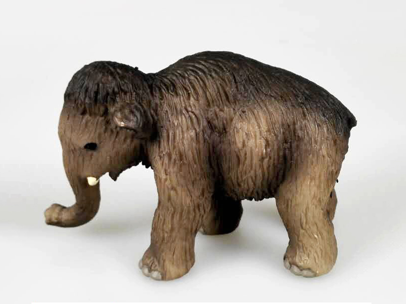Small Mammoth