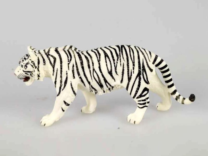 White Siberian Tiger