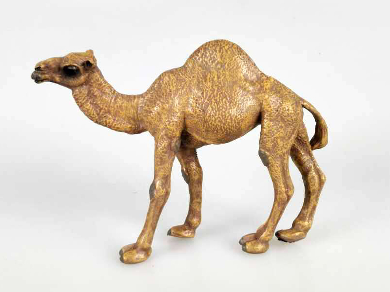 Great Single Humped Camel