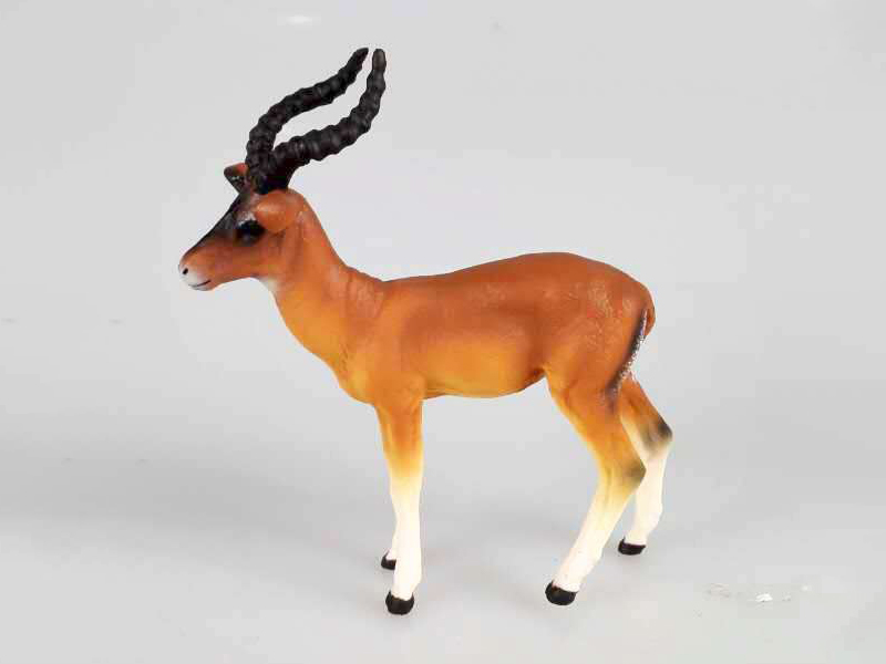 Antelope
