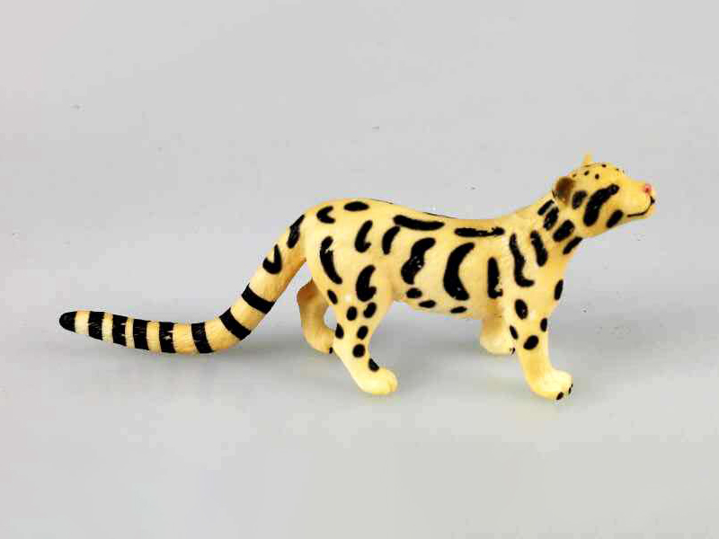 Head Up Clouded Leopard