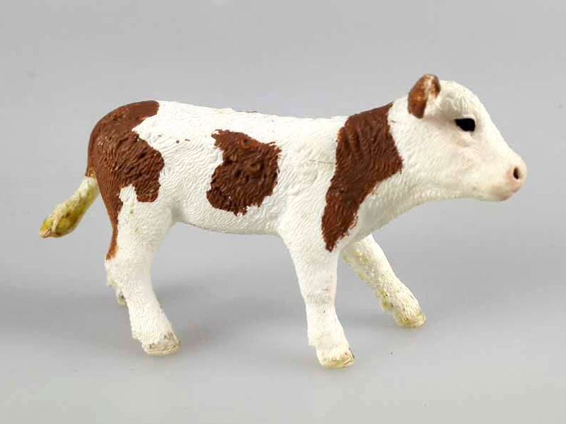 Brown White Small Cow