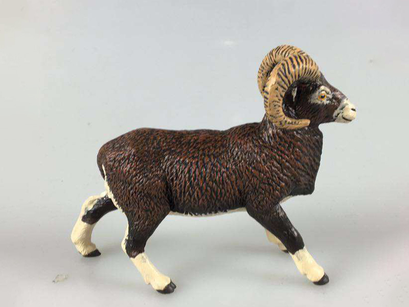 Argali
