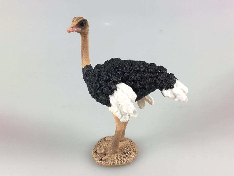 Ostrich